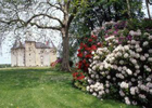 LE CHATEAU DE BRIE